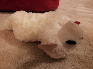 Drunken Lamb Chop