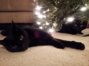 Two and One Under the Tree
