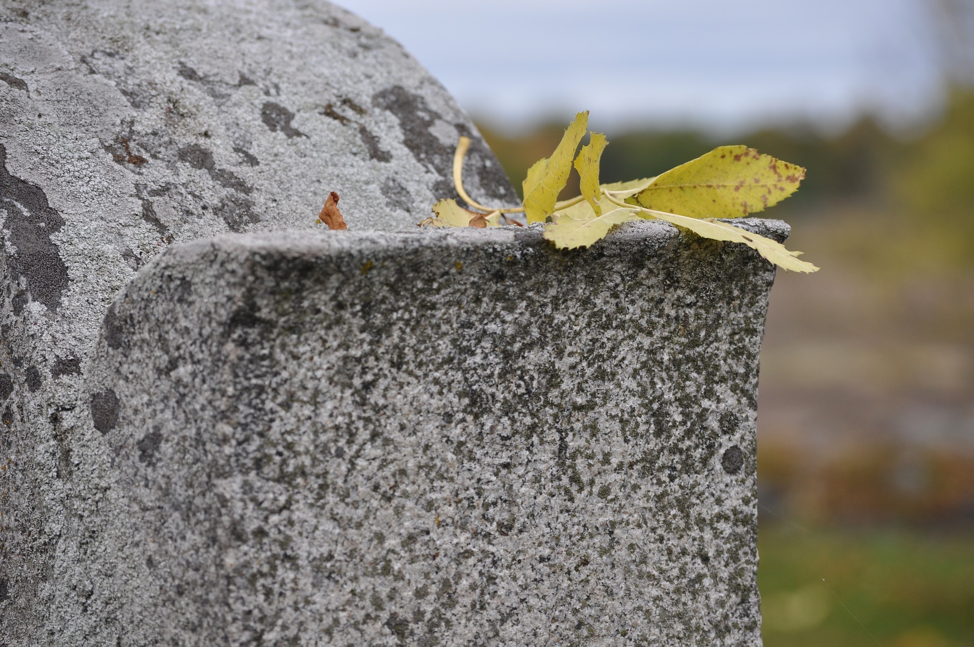 Headstones and Homesteads