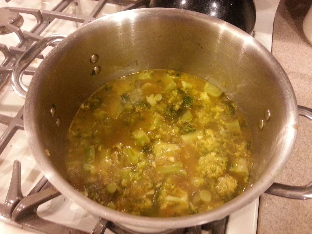 Pureed Broccoli Soup 4