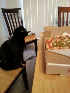 Pizza Cat