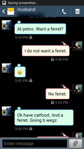 No Ferret 1